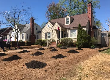 Top-rated Sod installation in Arlington.