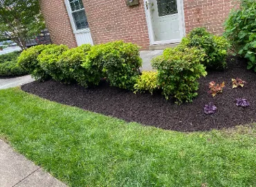 Hand-edged garden beds in Arlington by Hall's Landscaping.