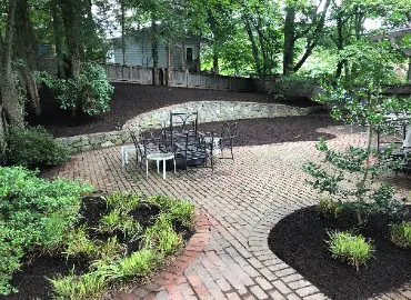 English Ivy removed and then covered with mulch.