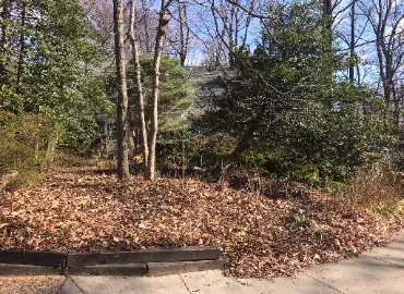 Leaf blowing In Arlington, VA.