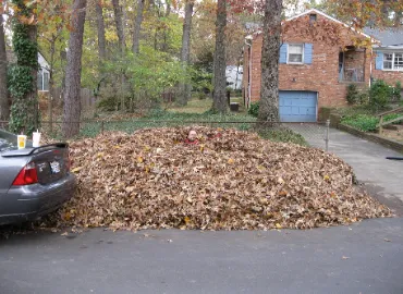 Leaf removal in Arlington, VA.