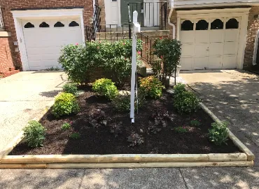 Planting for townhouse in Arlington, VA.