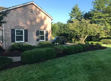 Pruning bushes and shrubs in Arlington, VA.