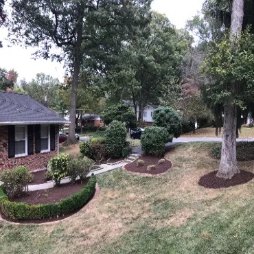 Top-rated pruning in Arlington by Hall's Landscaping.