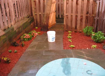 Red mulch in Arlington, Virginia.