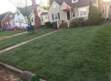 Sod installation after picture by Hall's Landscaping.