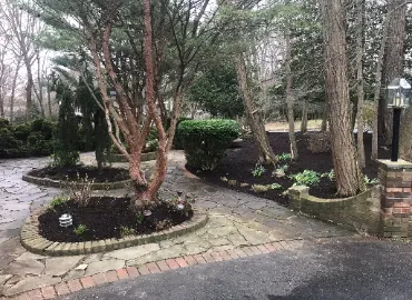 Top-Rated Mulching In Arlington