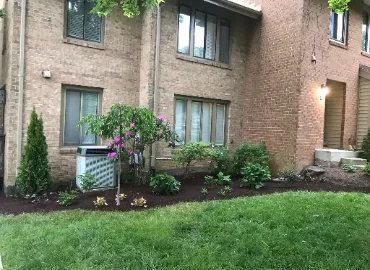 Townhouse Planting in Arlington by Hall's Landscaping.