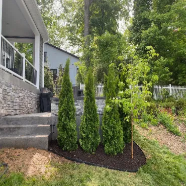 Top-rated Tree Planting services in Arlington