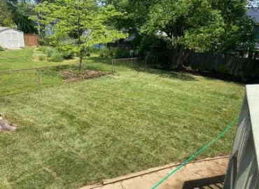 Watering new Sod in Arlington.