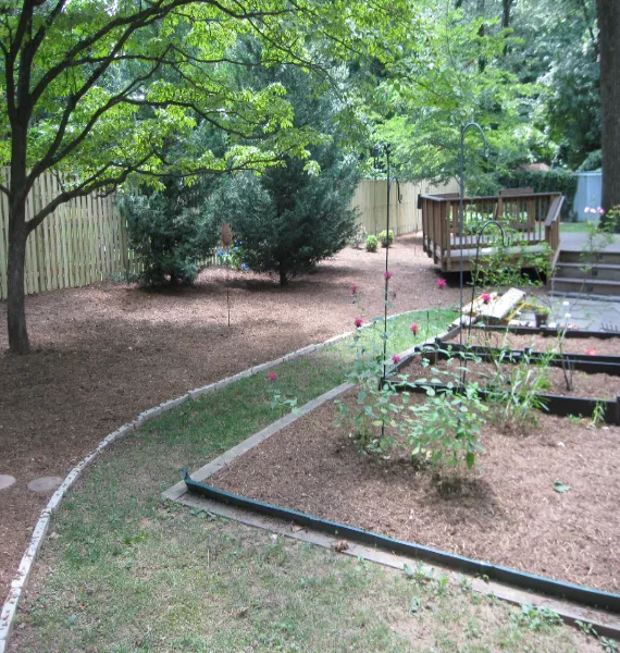 Triage landscaping in Arlington, VA after picture.