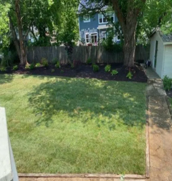 Messy Backyard overhaul In Arlington after picture.