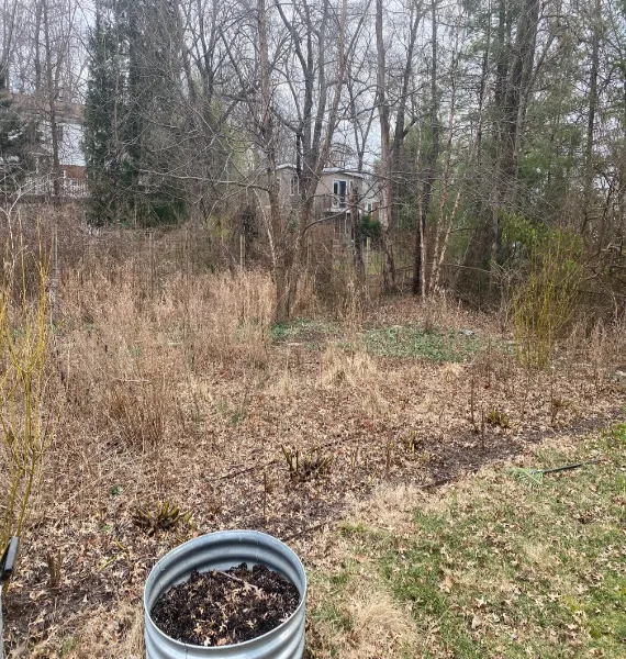 Messy Backyard overhaul In Arlington before picture.