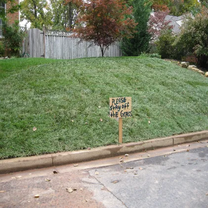 Sod Installation in Arlington by Hall's Landscaping.