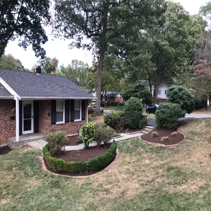 Pruning in Arlington, VA by Hall's Landscaping.